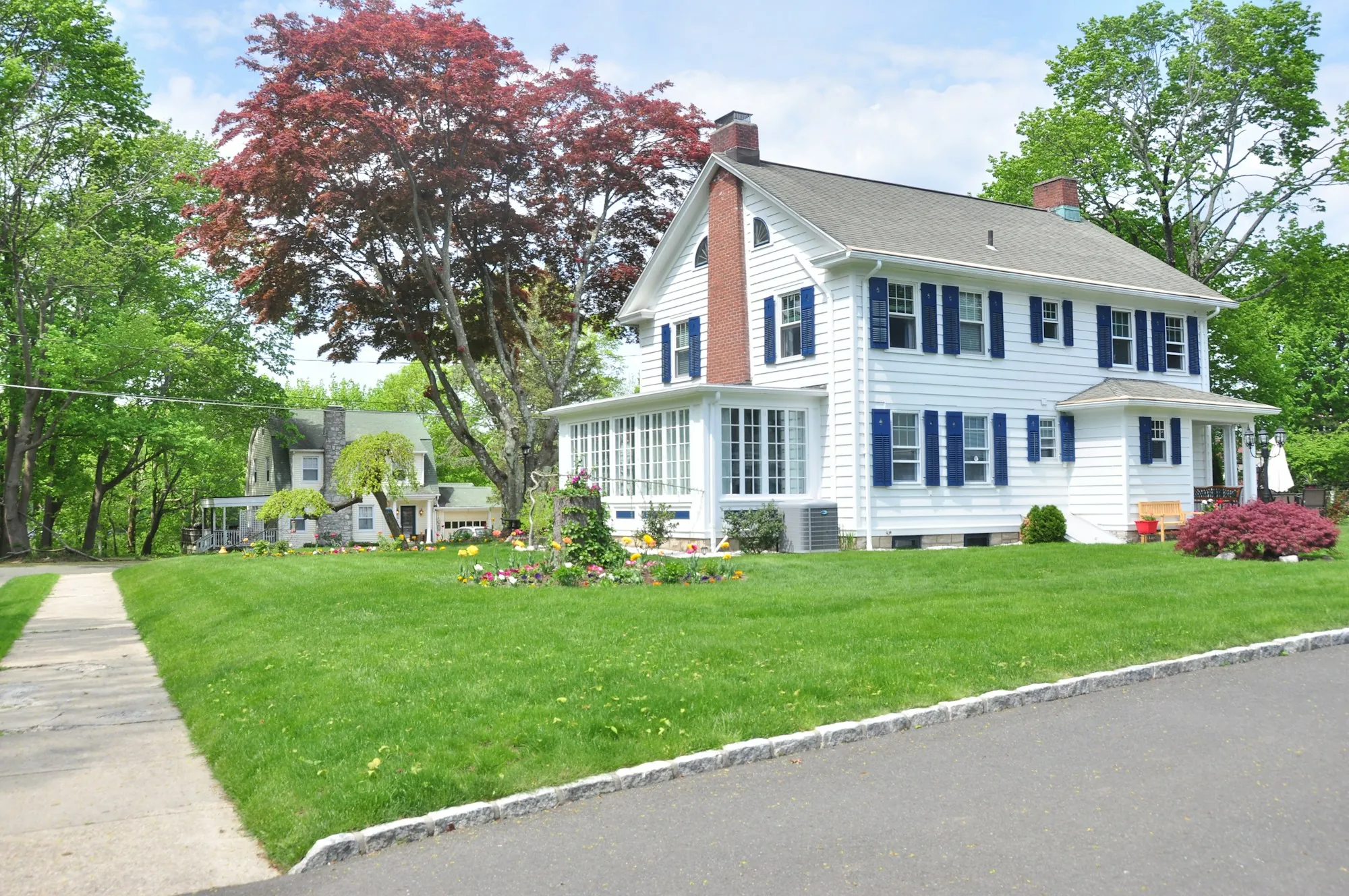 White colonial home with black shutters on a tree-lined street