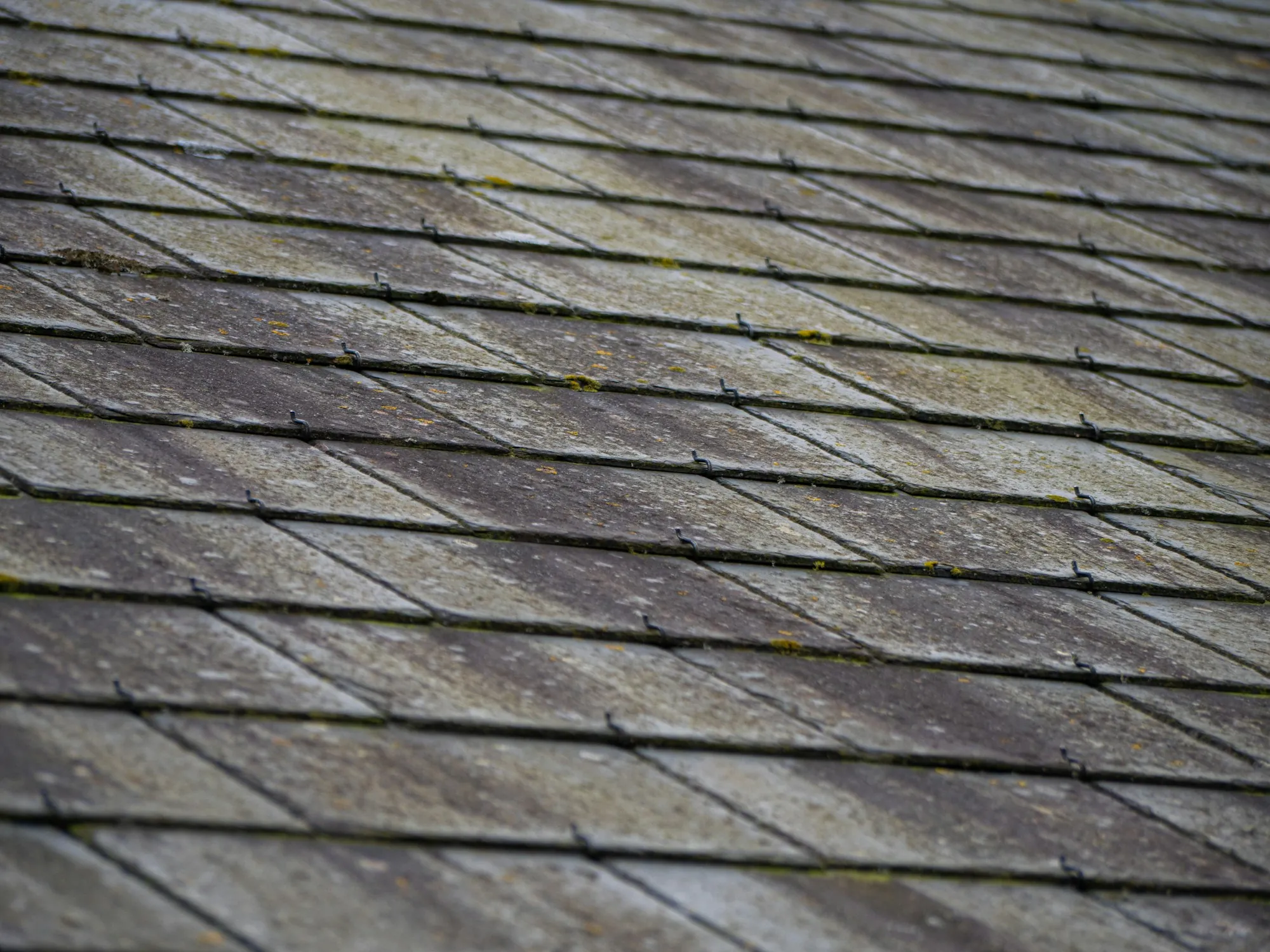 Worn asphalt shingles with patches of moss